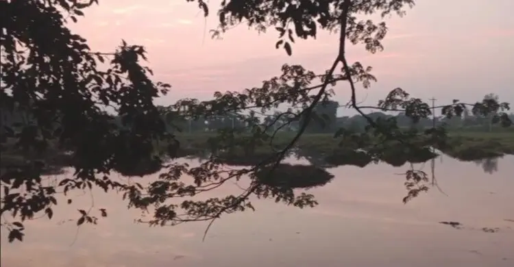 পরিযায়ী পাখির জন্য প্রস্তুত হচ্ছে নোবিপ্রবির ‘ময়না দ্বীপ’
