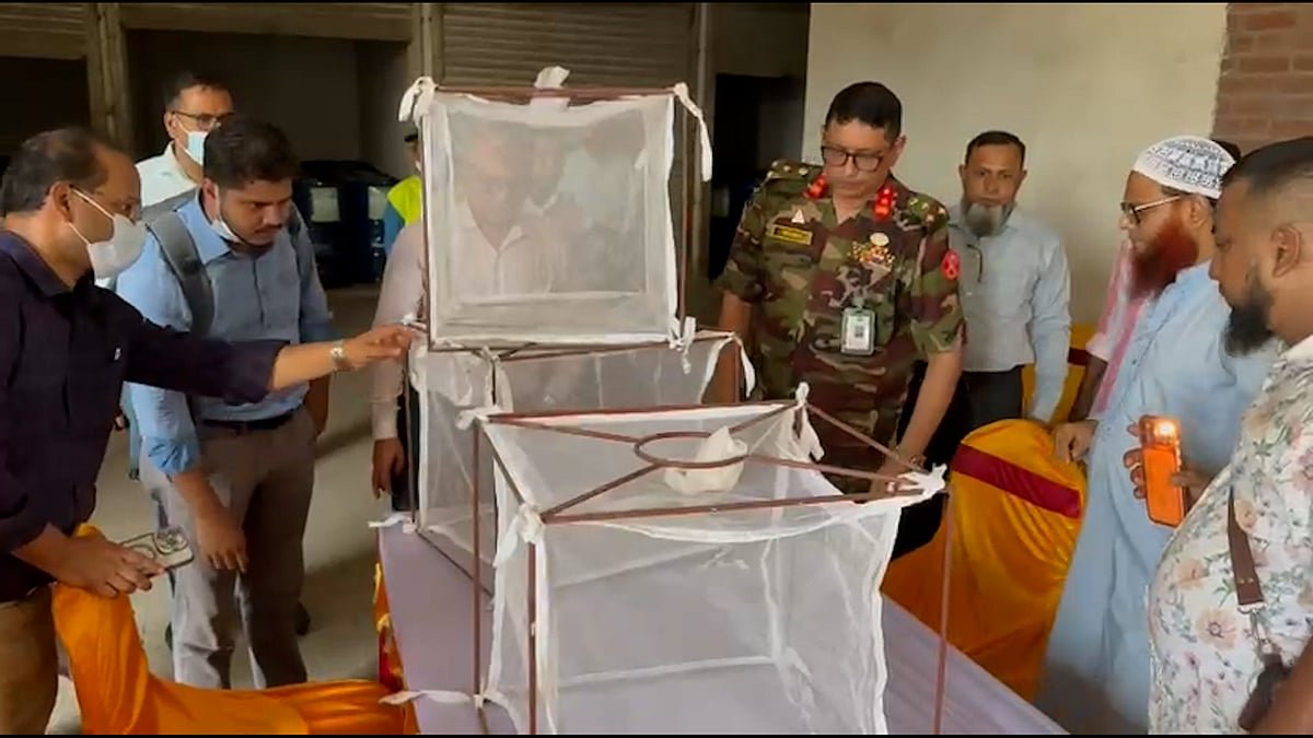 ঢিল ছুড়ে মশার ওষুধ বাছাই, ধোঁয়া দেওয়ার ২০ মিনিট পর যা ঘটল