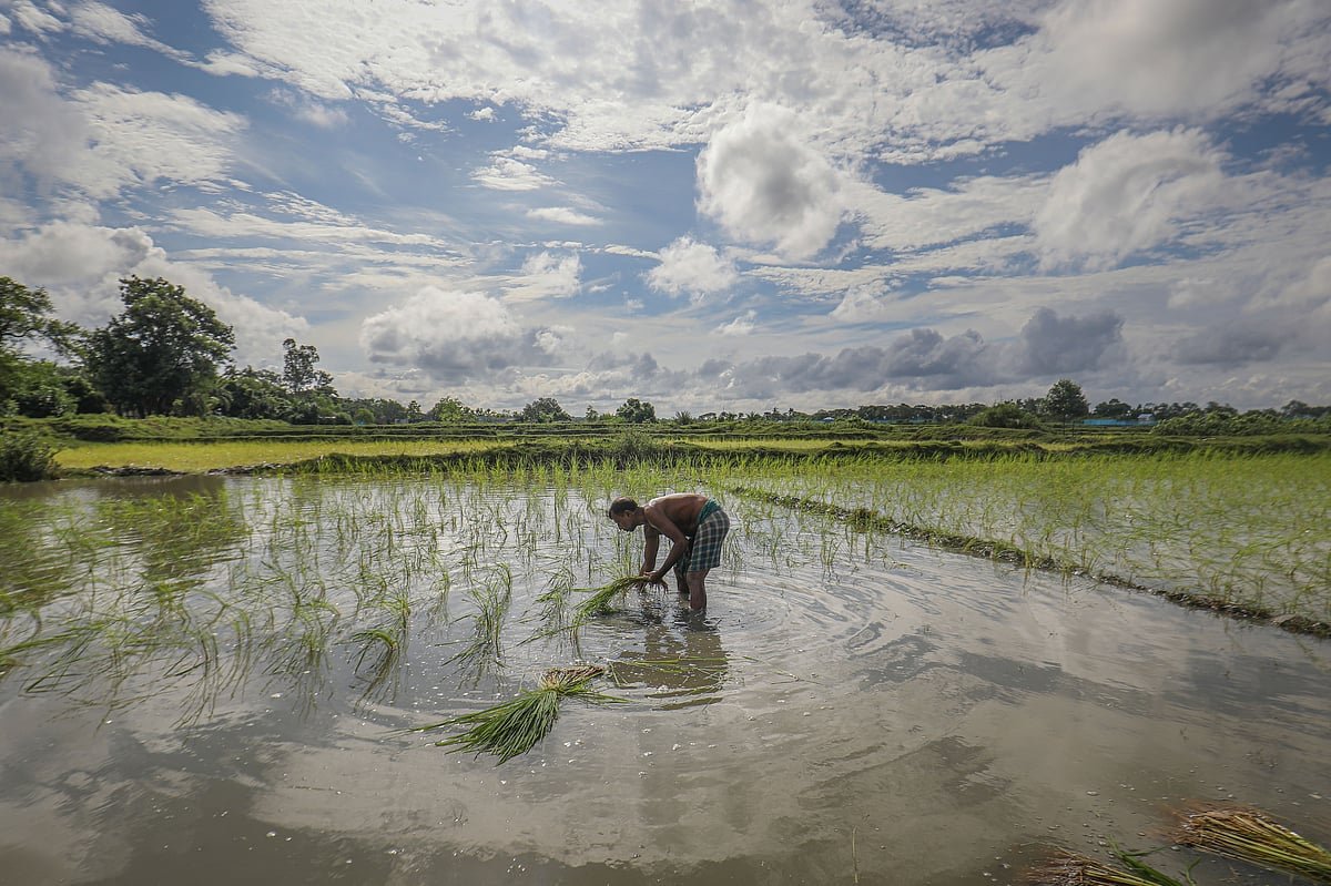 একঝলক (১৫ সেপ্টেম্বর ২০২৬)