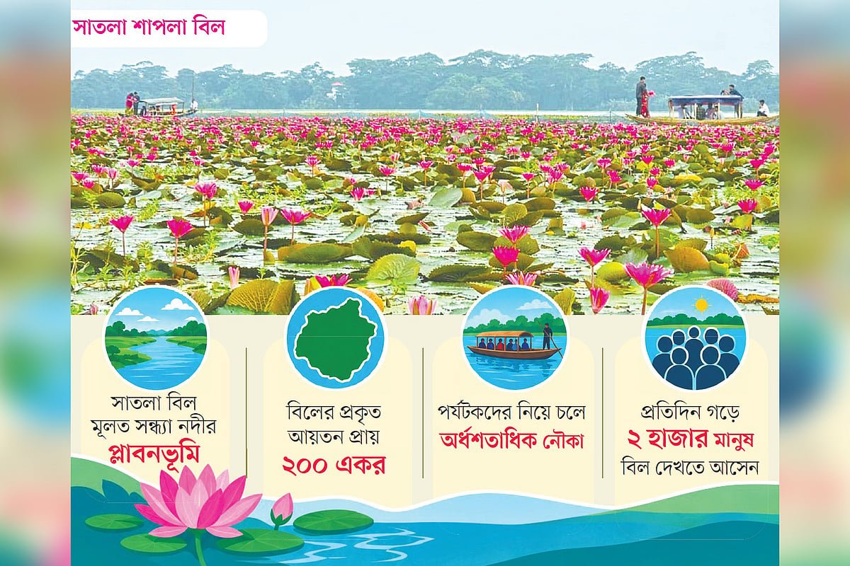 লাল শাপলার বিলে বদলে গেছে সাতলার অর্থনীতি