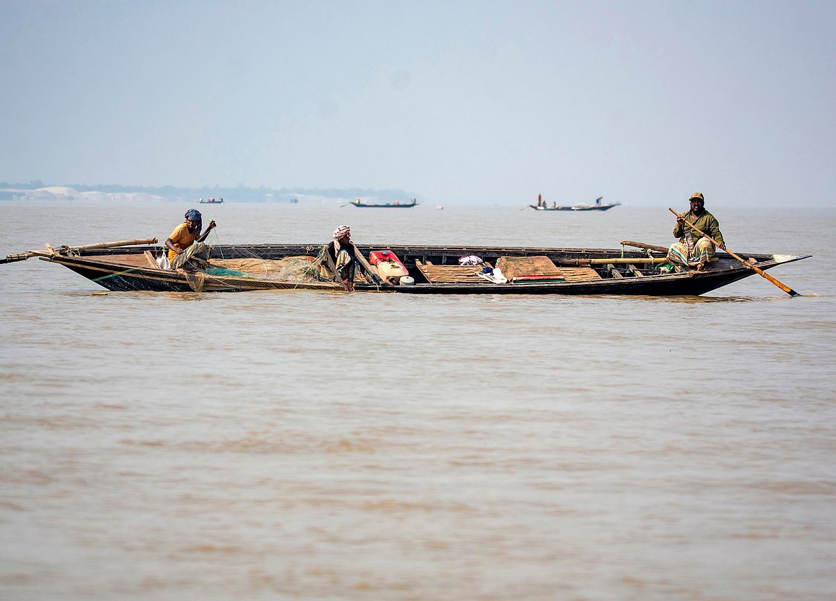 পদ্মা-মেঘনার ইলিশ কেন এত সুস্বাদু
