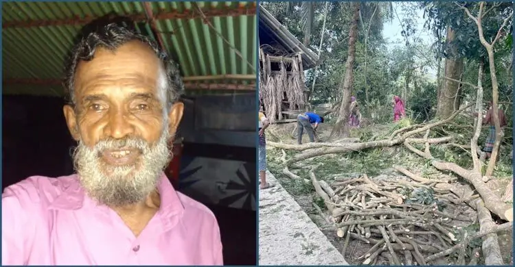 পটুয়াখালীতে গাছের ডাল মাথায় পড়ে বিএনপি নেতার মৃত্যু