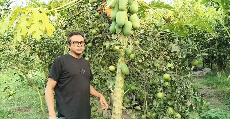 তামাক ছেড়ে মাল্টায় বাজিমাত মামুনের, বছরে আয় ১০ লাখ