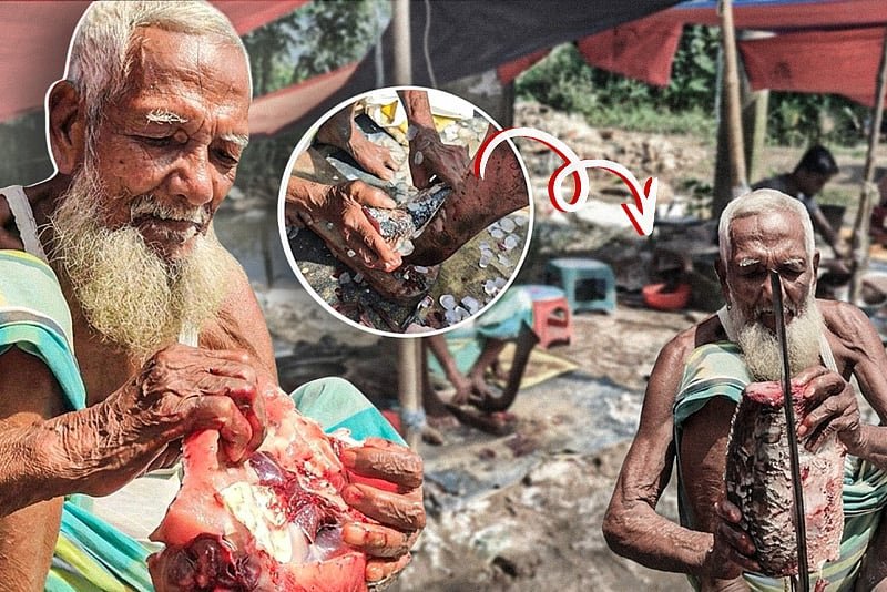 বৃদ্ধ বয়সেও মাছ কেটে সংসার চালান নিয়ামত মোল্লা