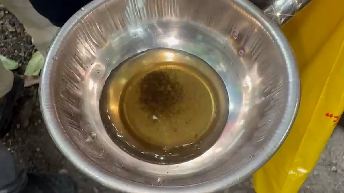 চামচভর্তি পানিতে কিলবিল করছে মশার লার্ভা