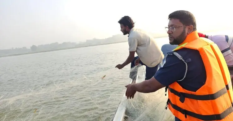 চাঁদপুরে মা ইলিশ রক্ষায় দুই অভিযানে আটক ৭, জাল ও নৌকা জব্দ