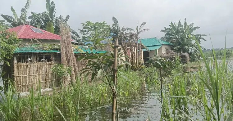 চর আষাড়িয়াদহের আশ্রয়ণ প্রকল্পে ঘরবন্দি ২০ পরিবার