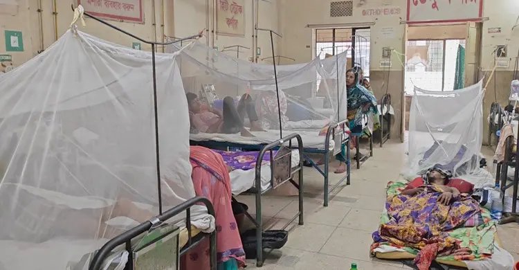 ডেঙ্গু আক্রান্তের সংখ্যা বেড়ে ২ হাজার, একদিনে হাসপাতালে ভর্তি ৪০ জন