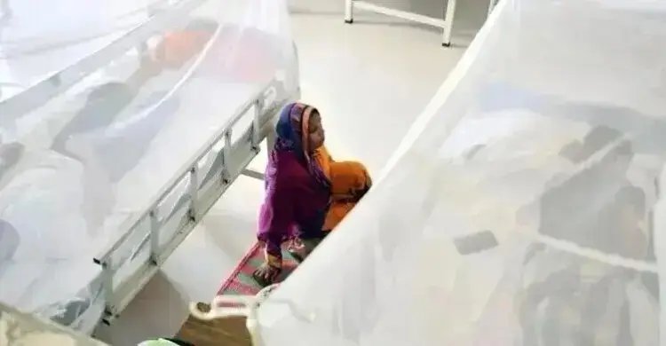 ডেঙ্গু নিয়ে হাসপাতালে ভর্তি ৫০ হাজার ছাড়ালো, মৃত্যু ১৪৩
