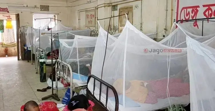 ডেঙ্গুতে প্রাণহানি বাড়ছেই, সেপ্টেম্বরের ১৩ দিনে মৃত্যু অর্ধশত ছাড়ালো