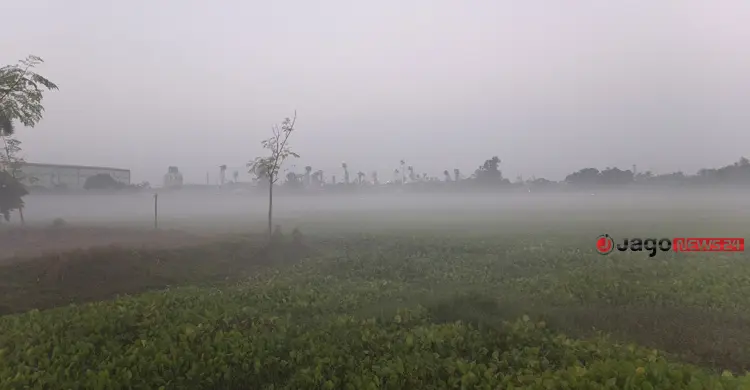দিনাজপুরে কড়া নাড়ছে শীত, দেখা মিলল ঘন কুয়াশার