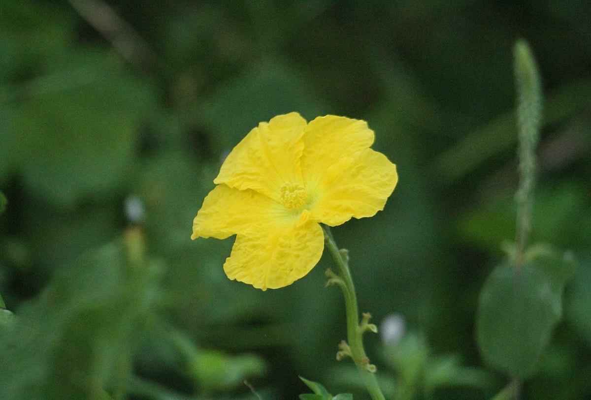 একঝলক (১৭ সেপ্টেম্বর ২০২৬)