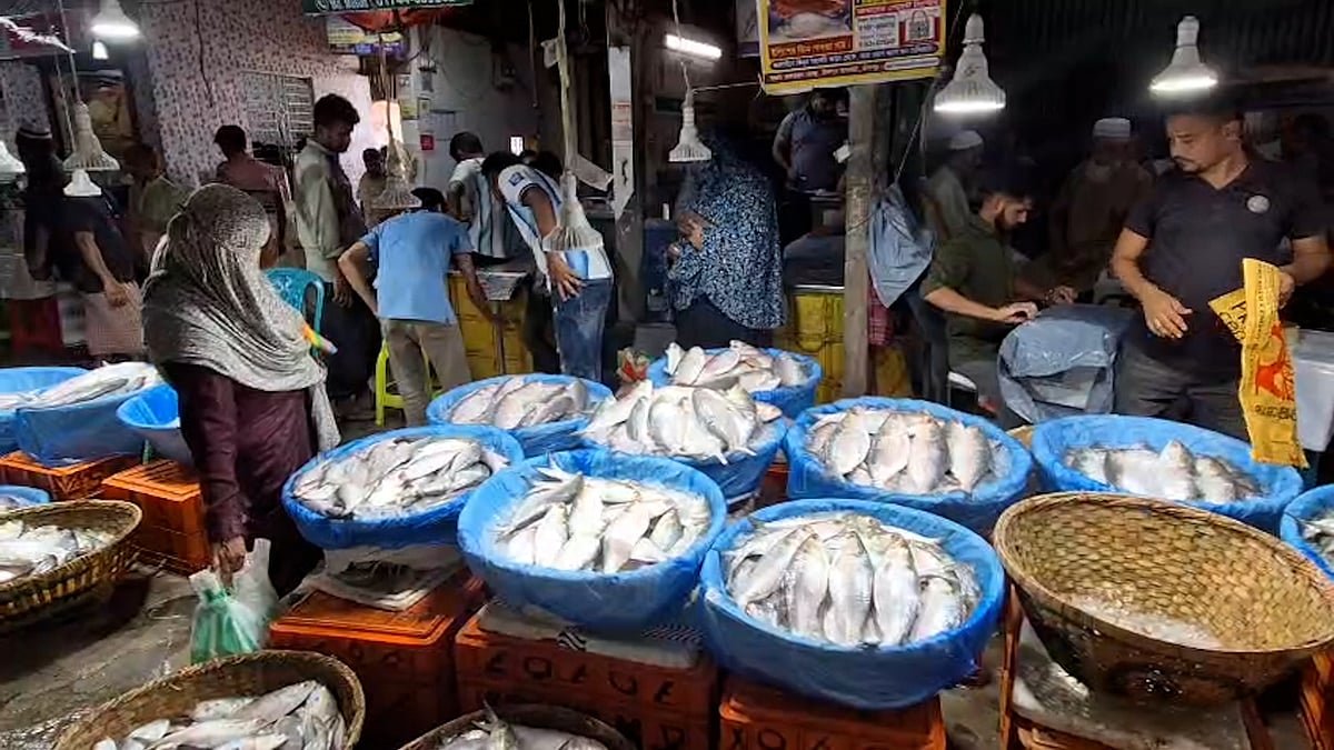 ইলিশের রাজধানী চাঁদপুরেও কেন চড়া দাম