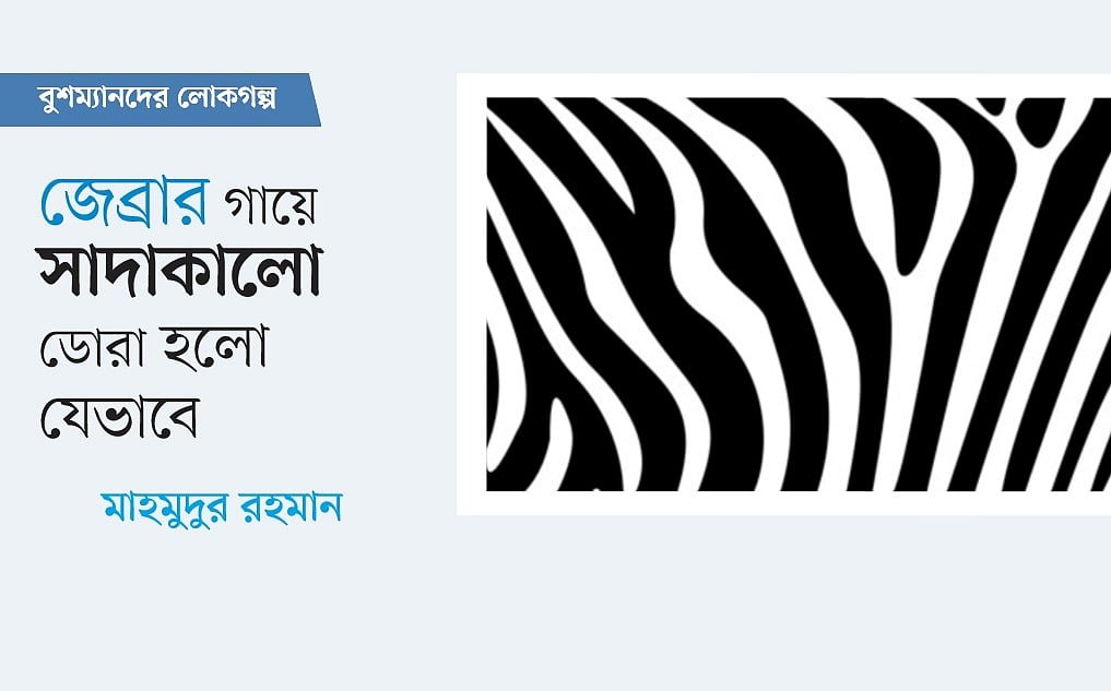 জেব্রার গায়ে সাদা–কালো ডোরা হলো যেভাবে