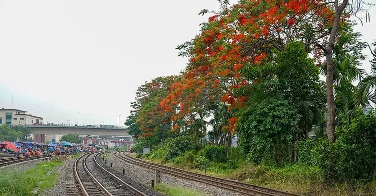 কুড়িলে ট্রেনে কাটা পড়ে প্রাণ গেল অজ্ঞাতপরিচয় ব্যক্তির