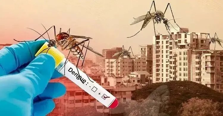 মন্ত্রী কিংবা সাধারণ মানুষ-মশা কাউকে চেনে না, ৫ মিনিট দেওয়ার আহ্বান