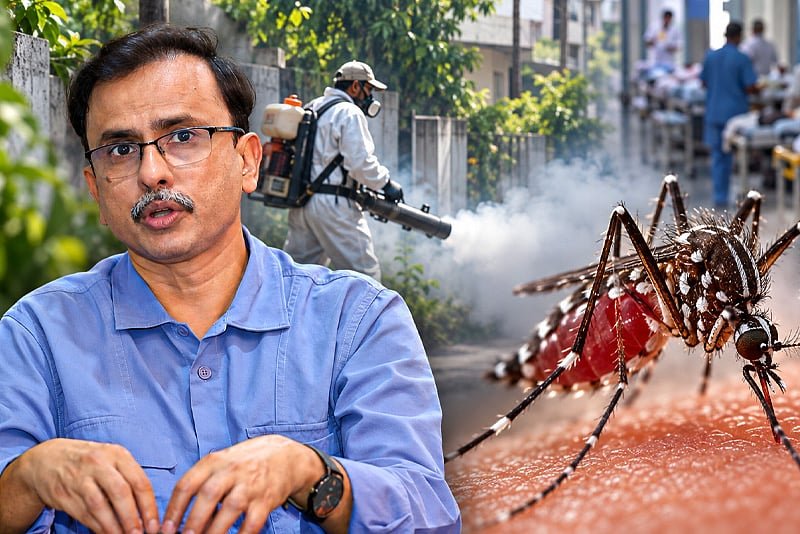 মশা মারা হচ্ছে, ডেঙ্গু কমছে না কেন?