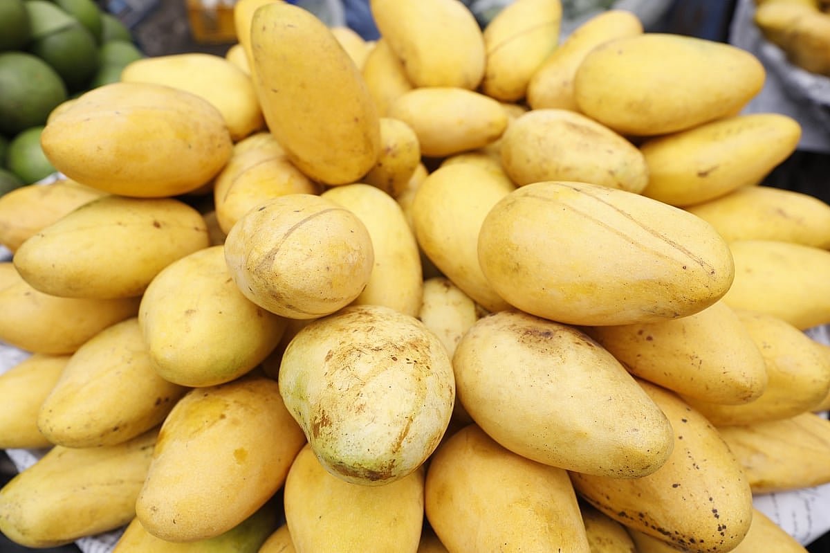 অসময়ে কাটিমন আমের দাপট
