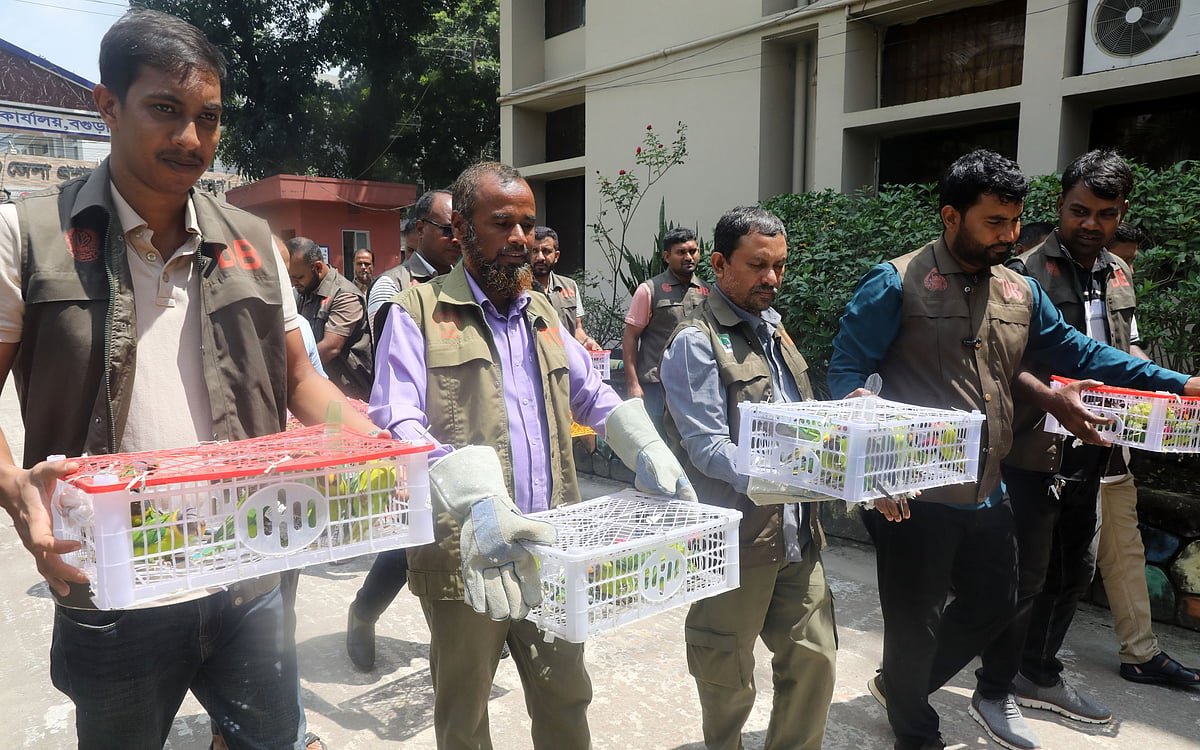 পাচারের সময় উদ্ধার, তিন প্রজাতির ১০৩টি টিয়া উড়ল মুক্ত আকাশে
