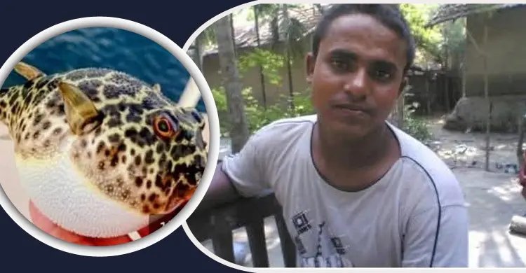 পটকা মাছের তরকারি খাওয়ার পর একজনের মৃত্যু, অসুস্থ ৪