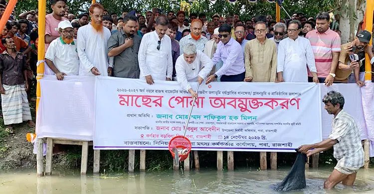 রাজশাহীর পবার ১৯ জলাশয়ে ৫৪৩ কেজি মাছের পোনা অবমুক্ত