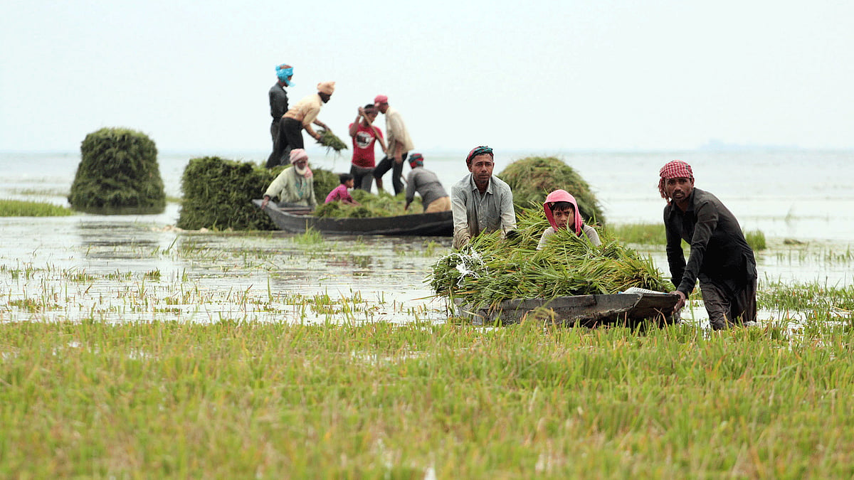 ঋতুর সঙ্গে বদলে যায় হাওরবাসীর জীবন
