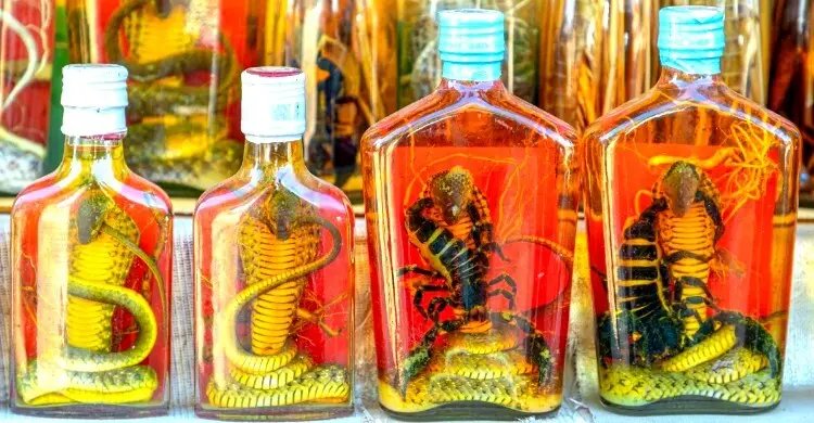 সাপ ডোবানো ‘স্নেক ওয়াইন’ দক্ষিণ-পূর্ব এশিয়ার দেশগুলোতে কেন এত জনপ্রিয়