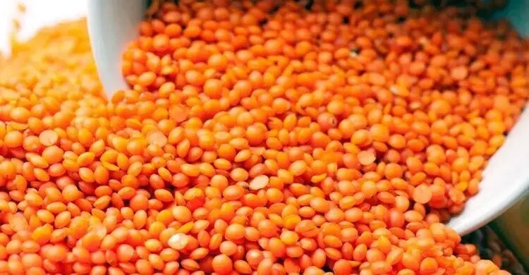 টিসিবির জন্য ১০ হাজার টন মসুর ডাল কিনবে সরকার